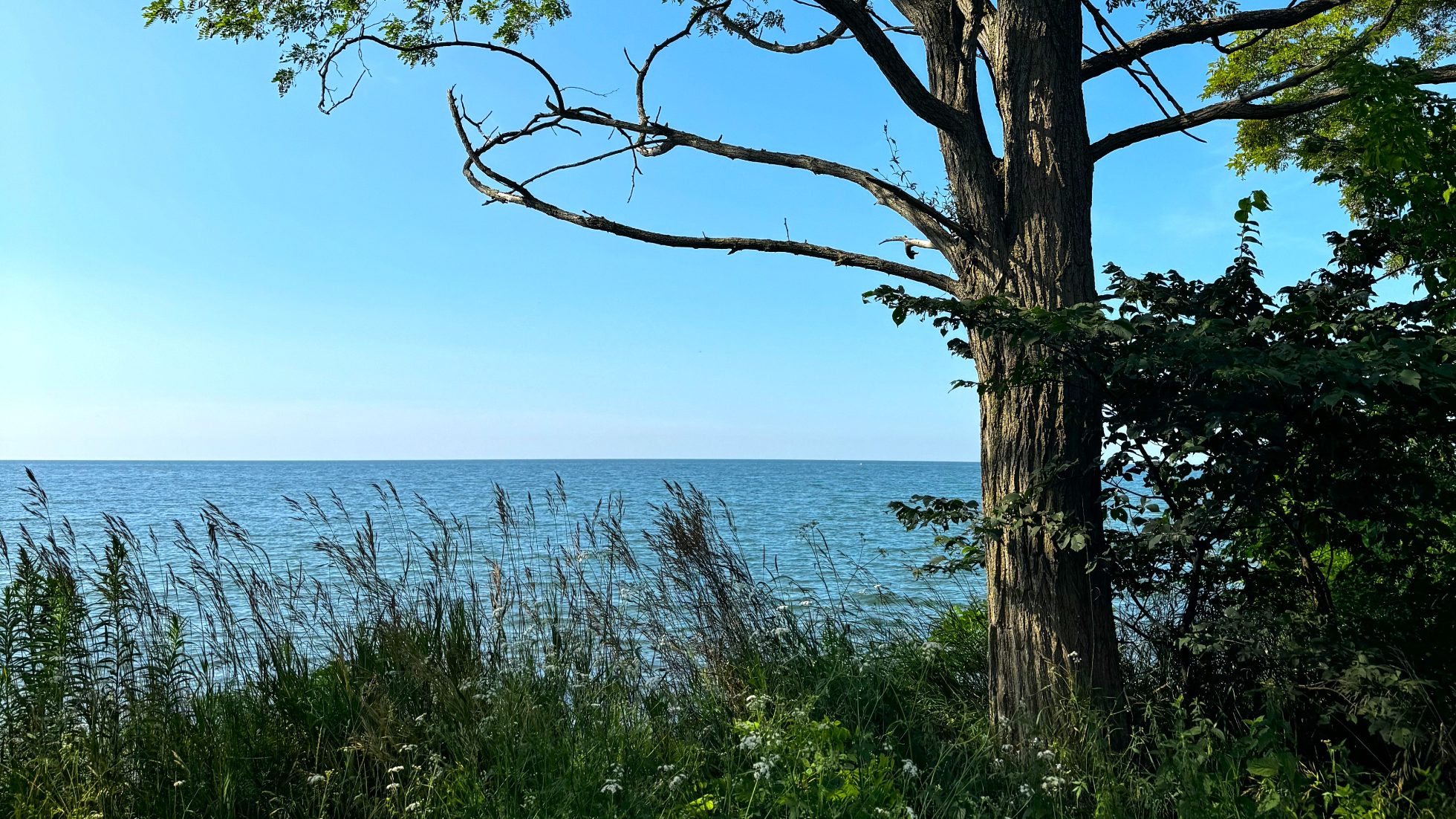 Plaża nad jeziorem Ontario