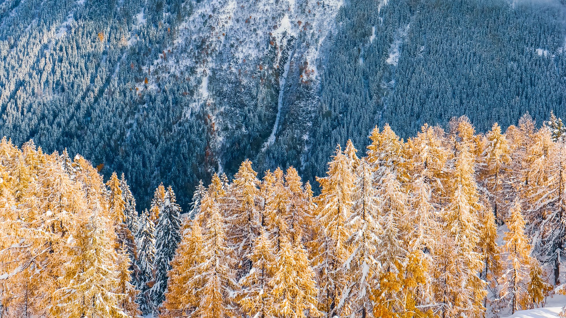 Ośnieżone Alpy - Chamonix