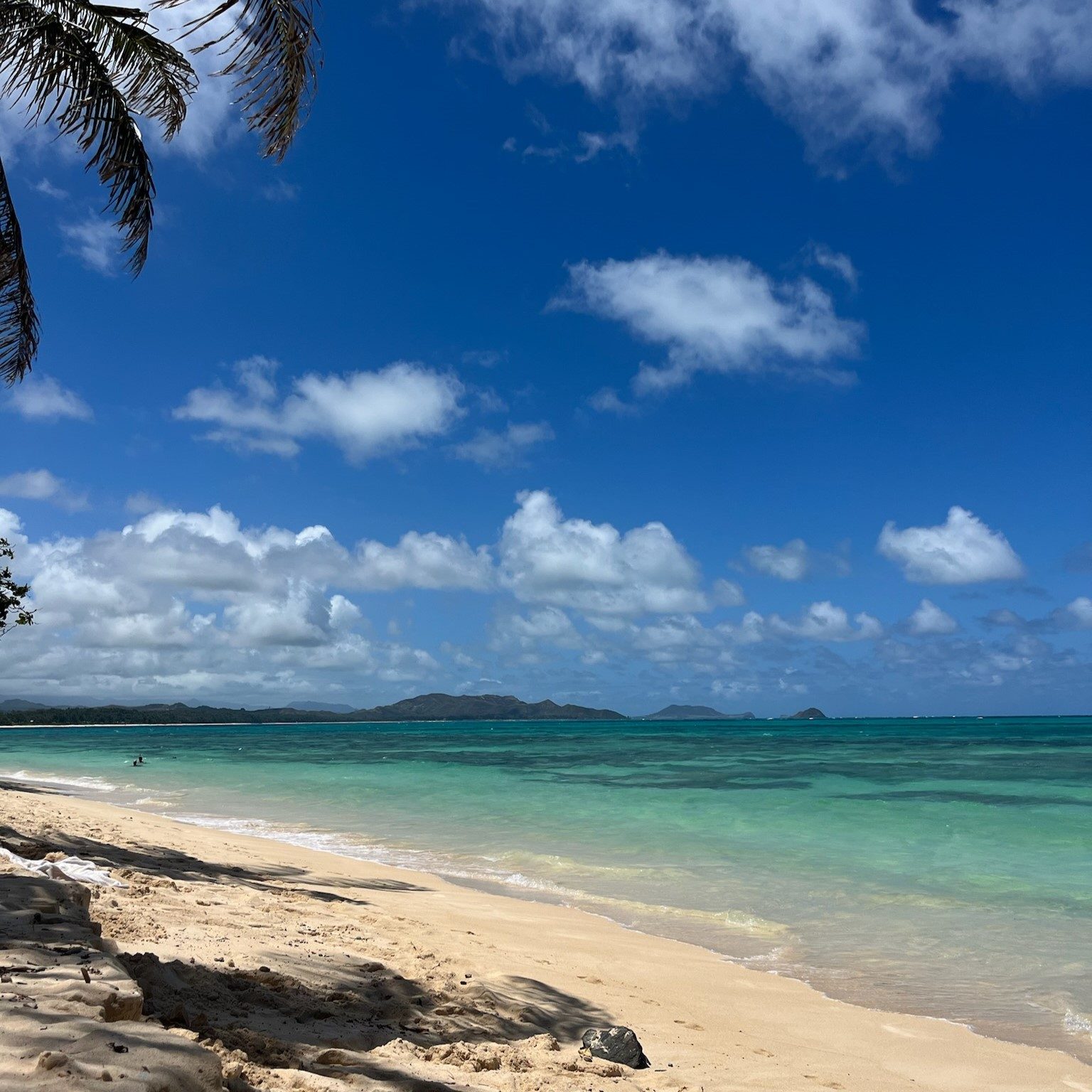 Plaża na Oahu z widokiem na ocean i niebieskie niebo. Palmy, biały piasek i turkusowa woda.