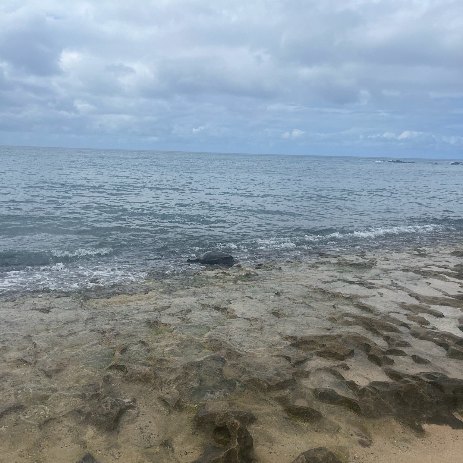 Widok na Laniakea Plaza na Oahu.