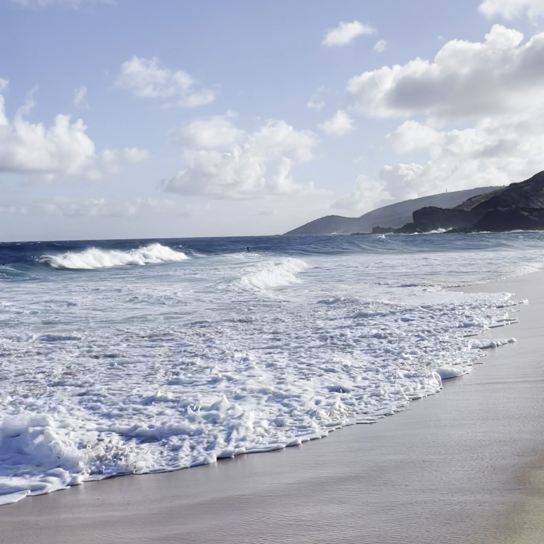Plaża Sandy na Oahu, Hawaje. Błękitne morze, złoty piasek i palmy.