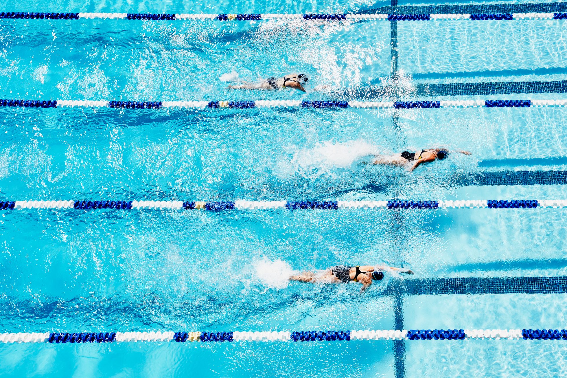 Young female swimmers competing in outdoor swimming pool with top view, olympic games