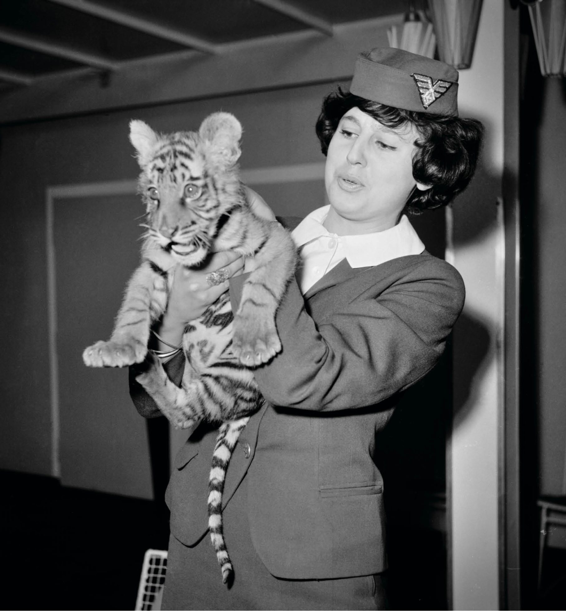 A black and white photo of a stewardess holding a small tiger.