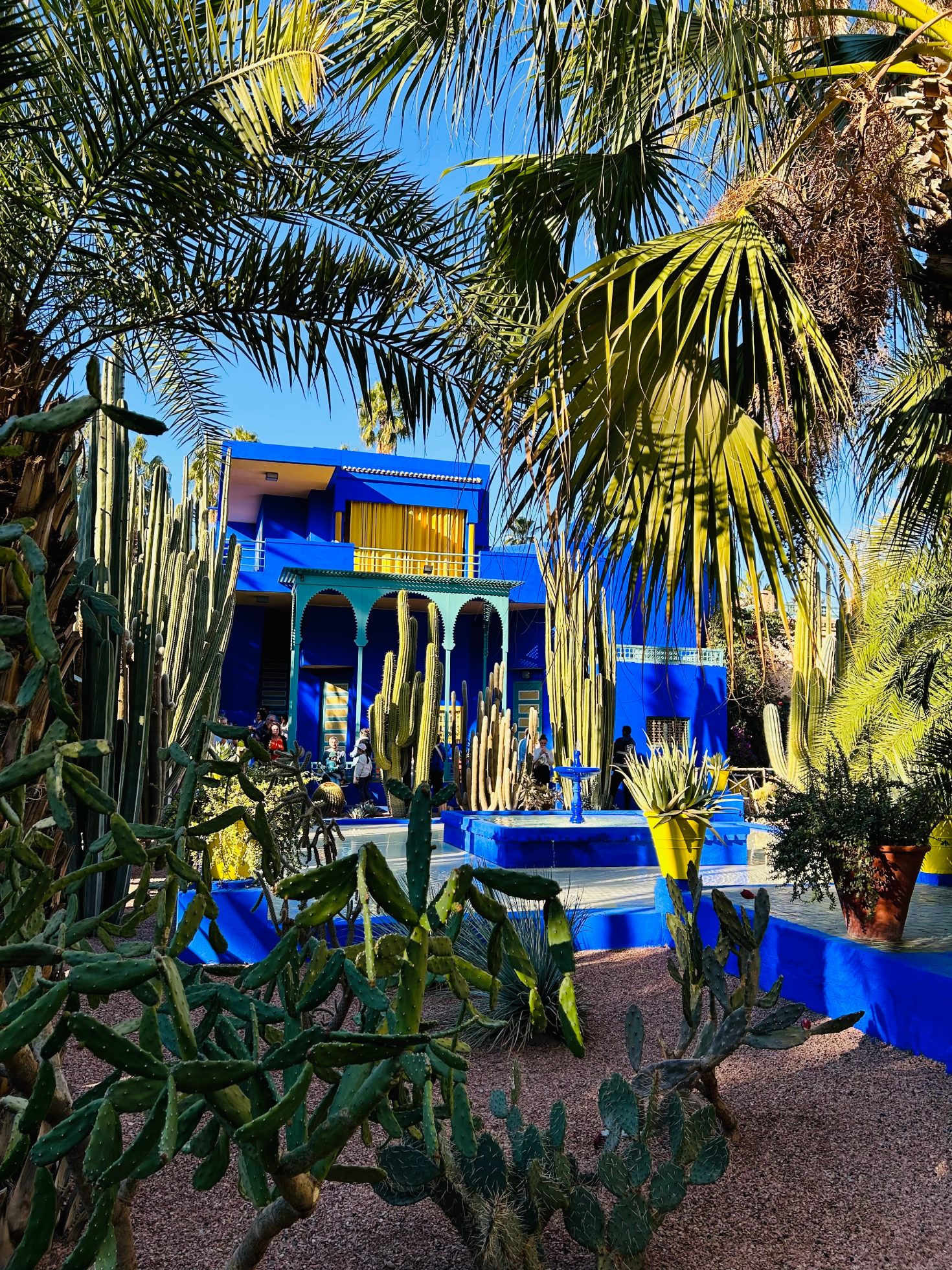 Kolorowe budynki i palmy w Marrakeszu