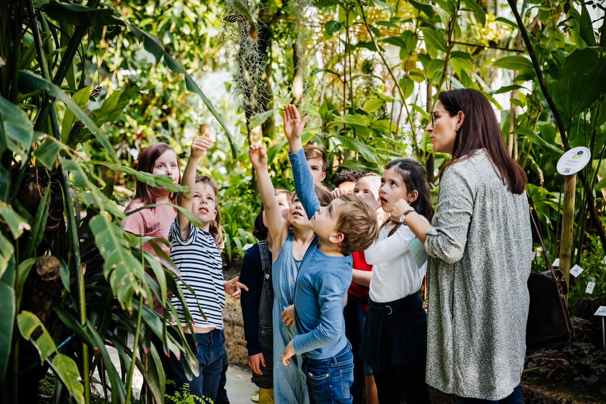 A group of school children during a school trip to the botanic gardens.
