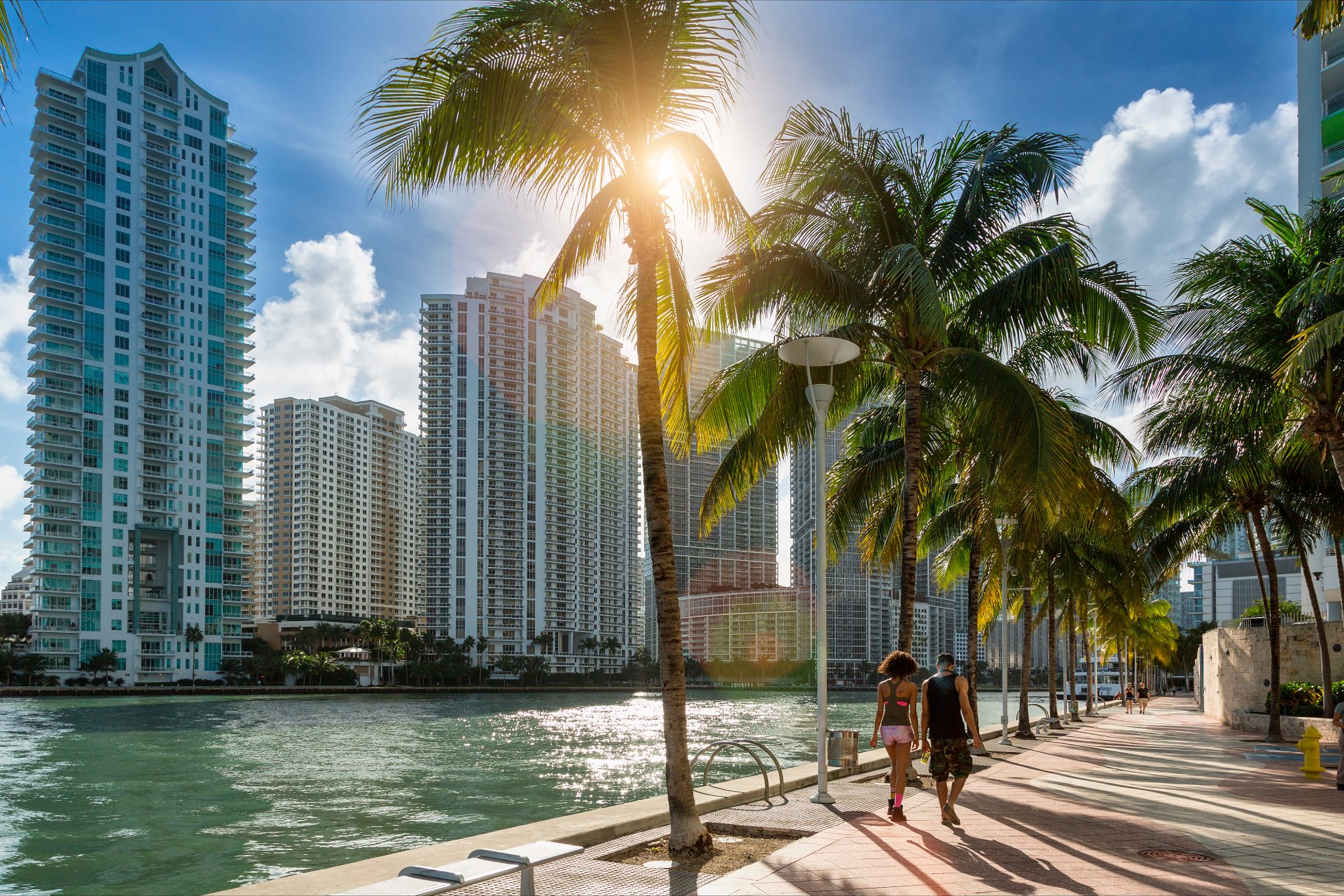 Palms and buildings in Miami