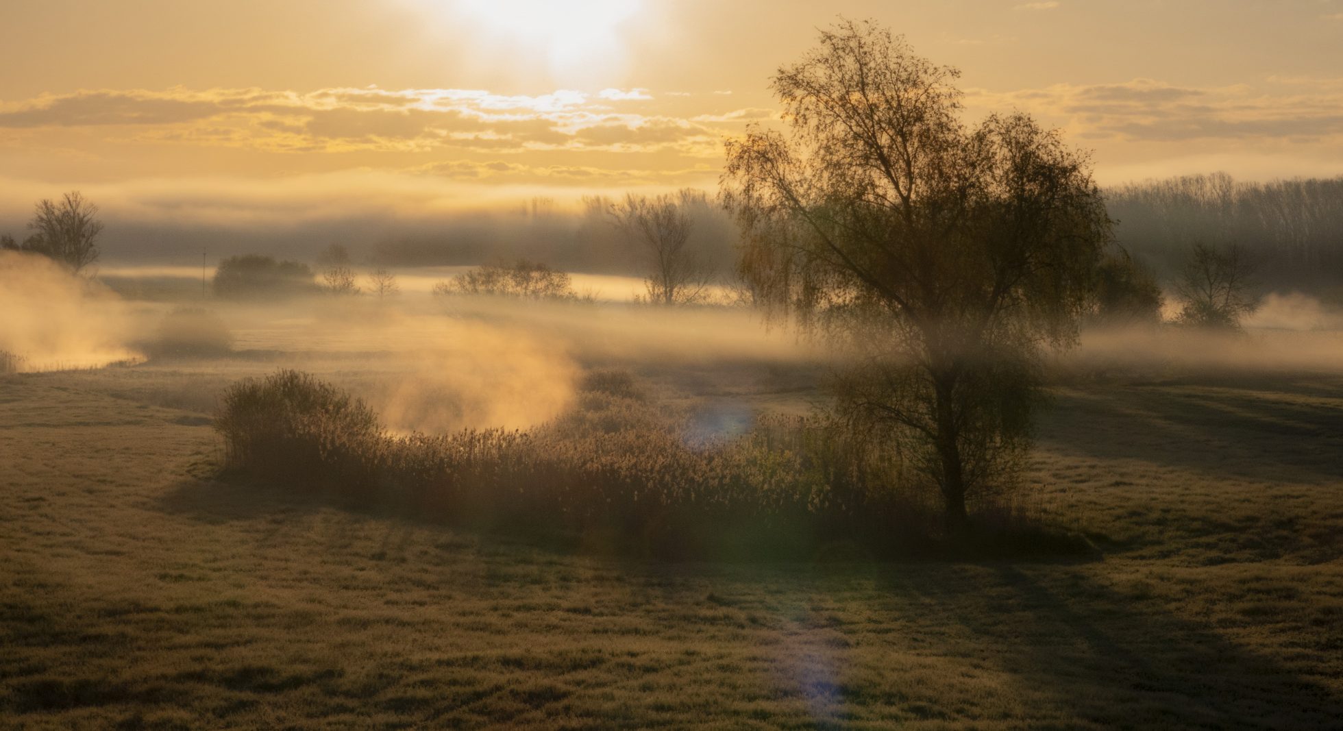 Landscape of the Lower Vistula Valley in the morning