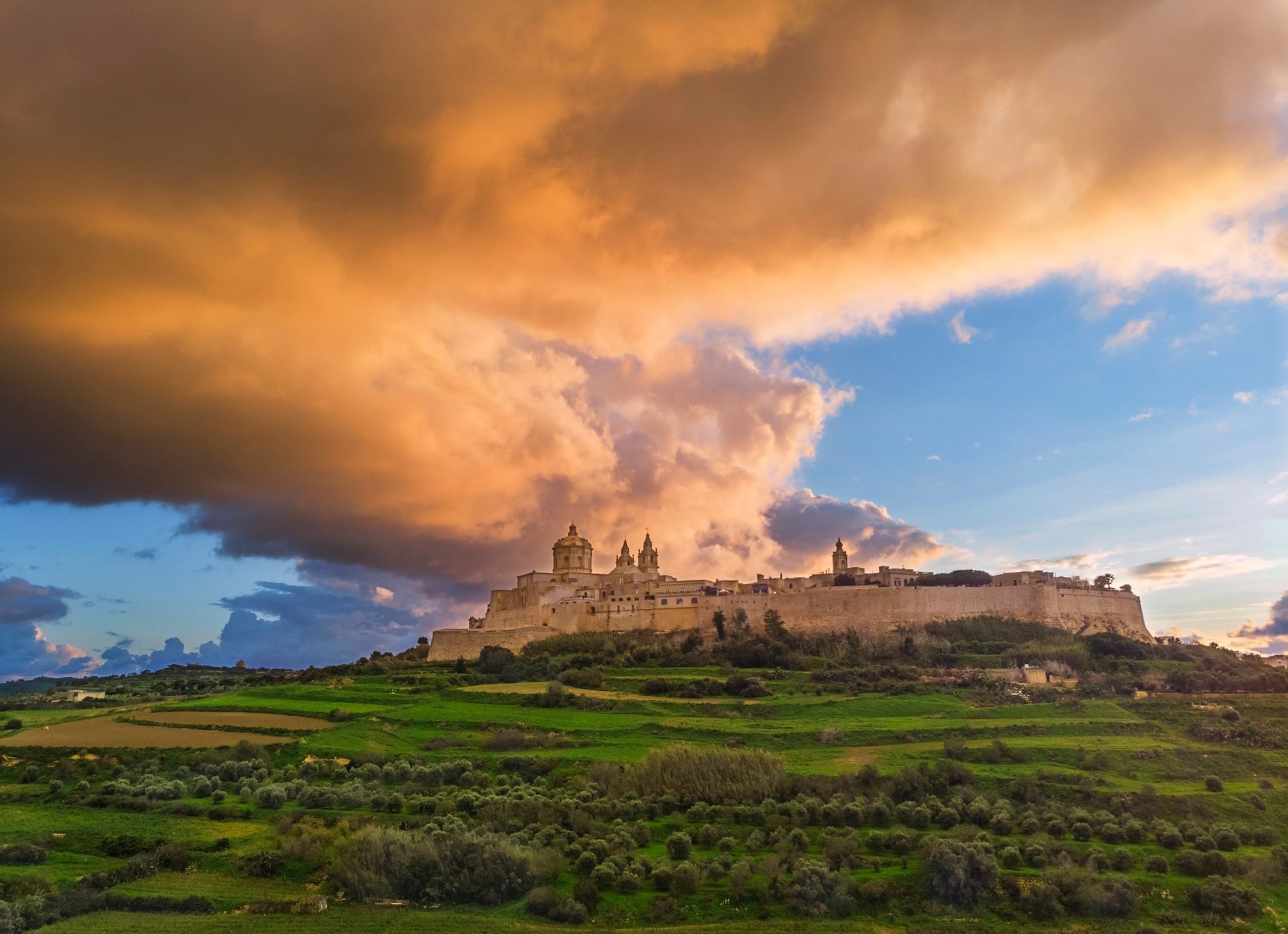 Widok na zabudowę miasta Mdina