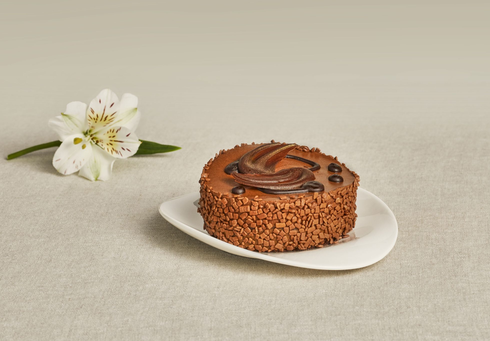 Chocolate cake on white background.