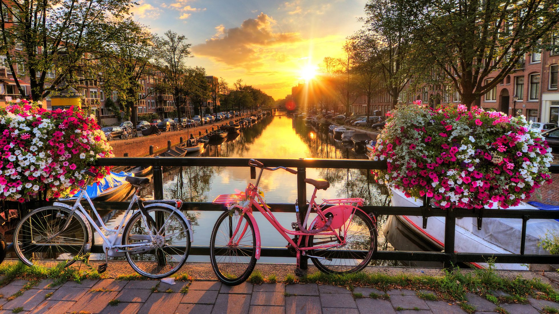 Sightseeing in Amsterdam by bicycle