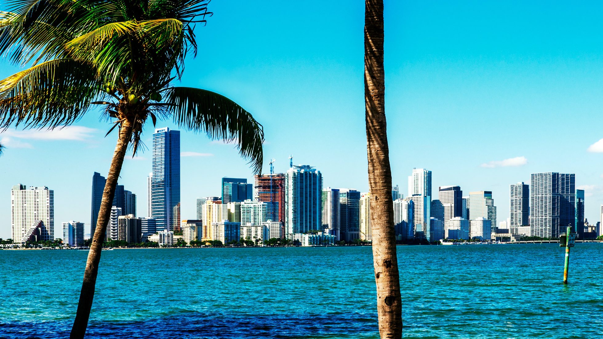 skyscaper in Miami
