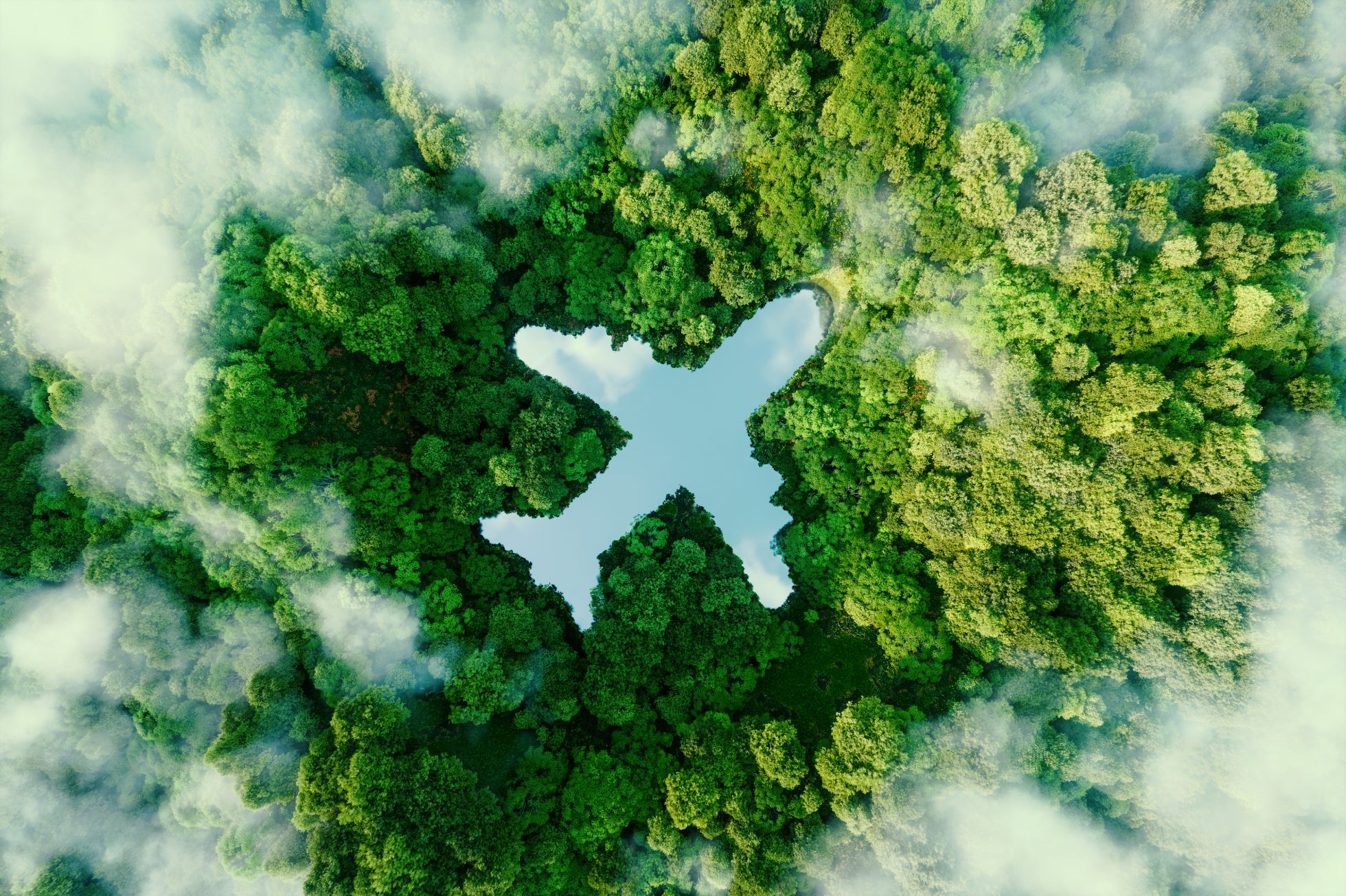Flight and environment