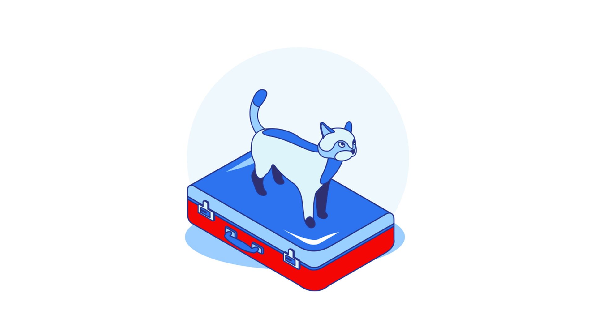 A cat on a closed and lying suitcase.